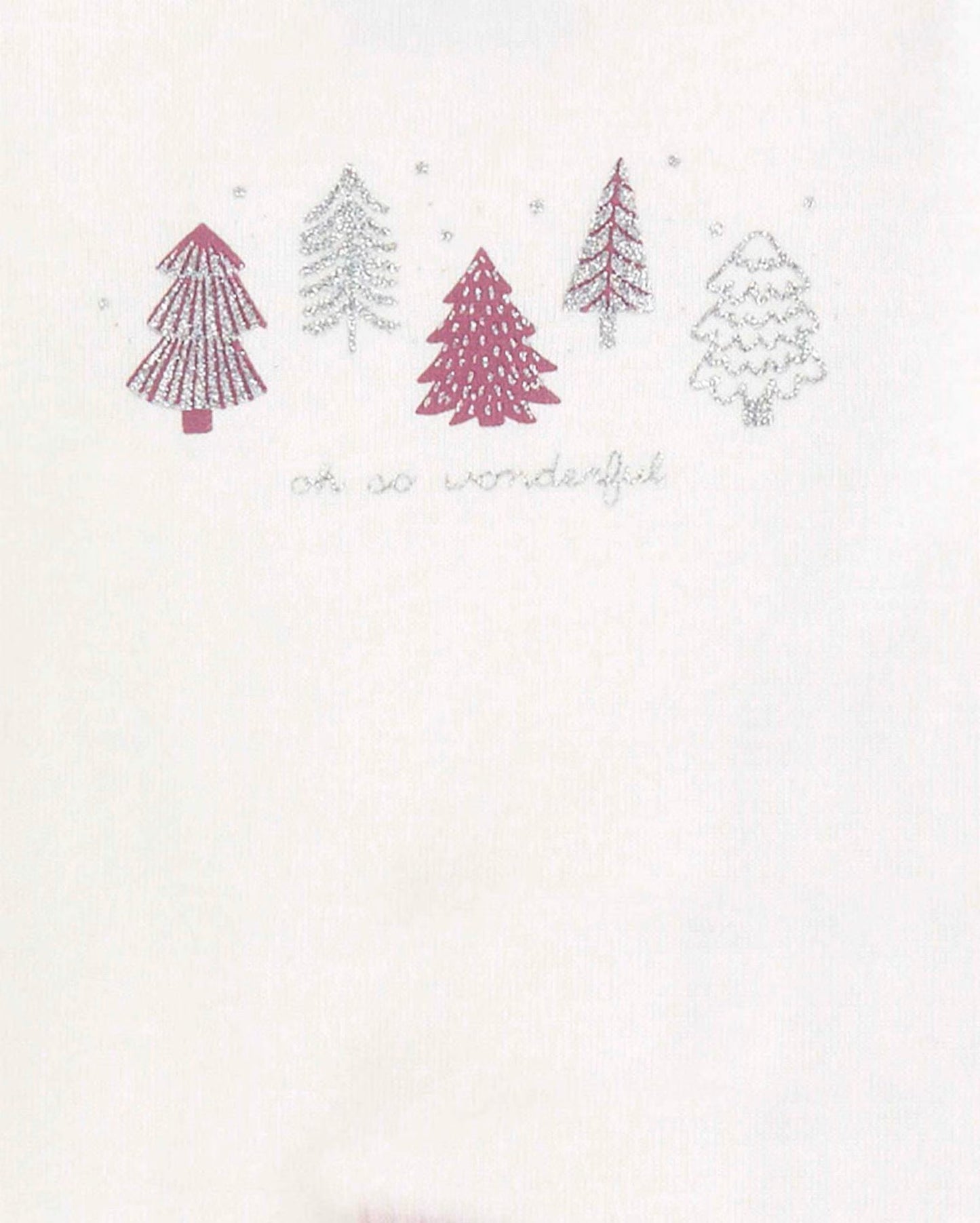 Conjunto Carter’s Inverno