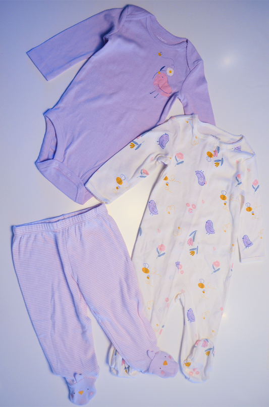 Conjunto Carter’s Passarinhos