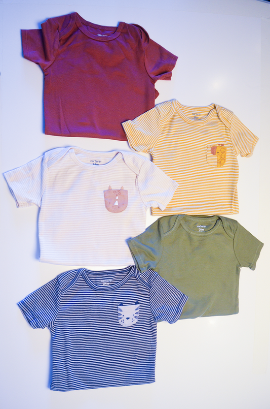 Kit Bodies Carter’s Animais