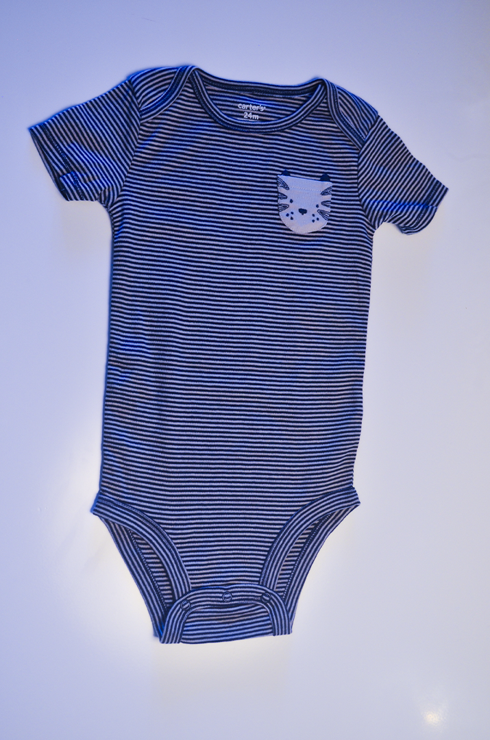 Kit Bodies Carter’s Animais