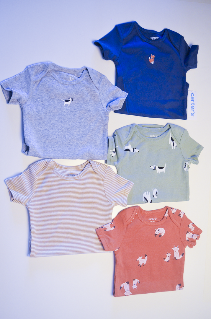 Kit Bodies Carter’s Dog and Fox