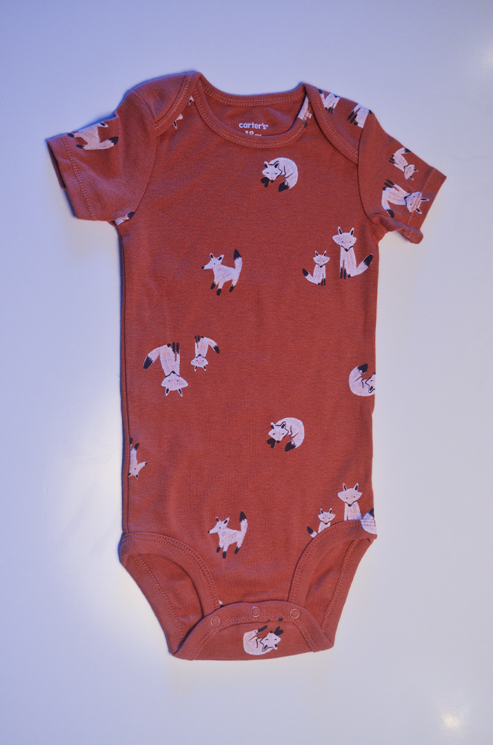 Kit Bodies Carter’s Dog and Fox