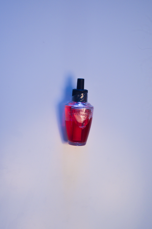 Refil Bath & Body Works Wallflowers The Perfect Autumn