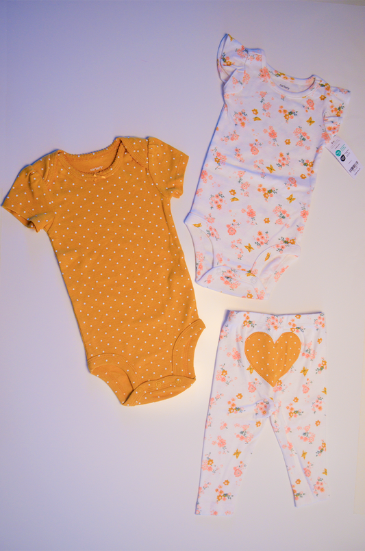 Conjunto Carter’s Love & Flowers